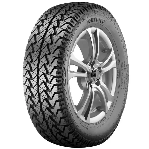 FORTUNE FSR-302 1