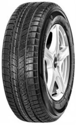 NEOLIN NEOWINTER VAN 1