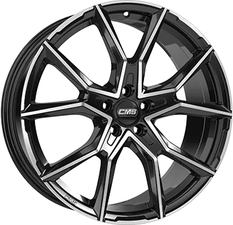 CMS C33 1