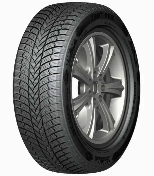 TBB TIRES FORTEZZA SNOW 1