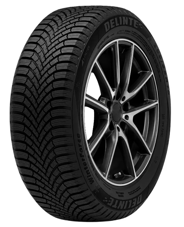 DELINTE WINTER FORCE 1
