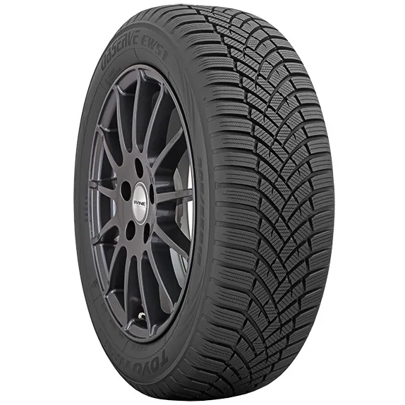 TOYO OBSERVE EWS1 1