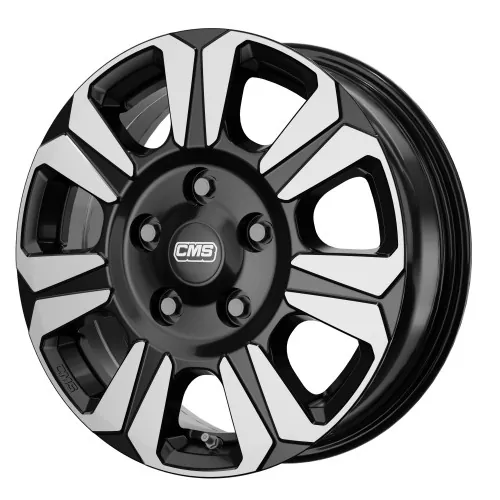 CMS C31 1