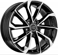 MSW MSW 42 1