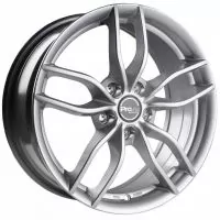 Proline ZX100 1