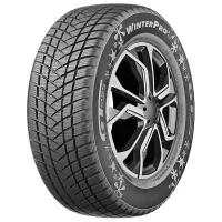 GT Radial WINTERPRO2 (EVO) 1