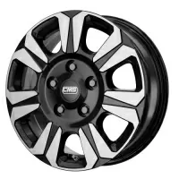 CMS C31 1